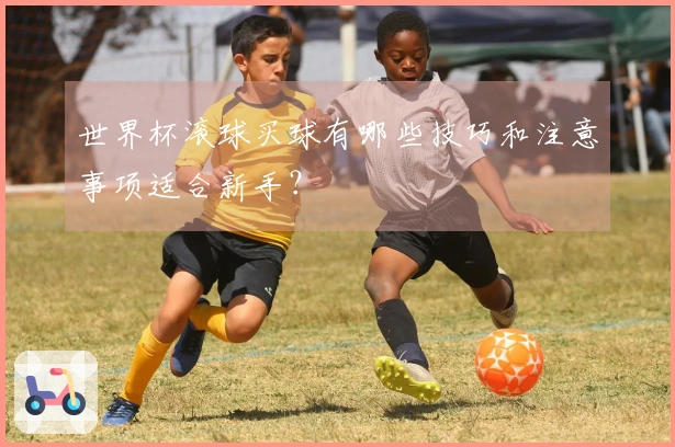 世界杯滚球买球有哪些技巧和注意事项适合新手？
