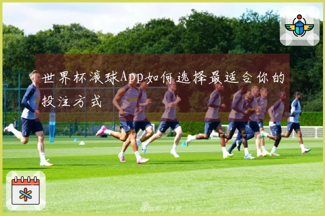 世界杯滚球App如何选择最适合你的投注方式