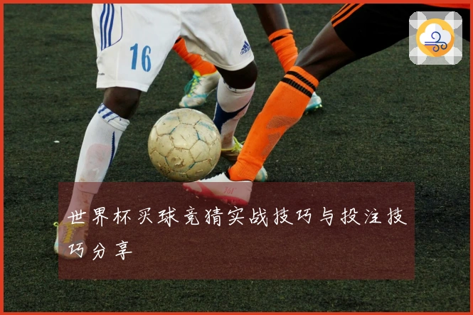 世界杯买球竞猜实战技巧与投注技巧分享