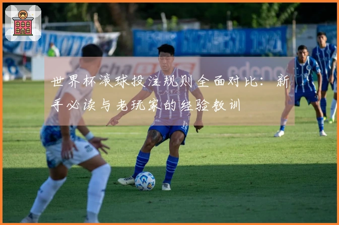 世界杯滚球投注规则全面对比：新手必读与老玩家的经验教训