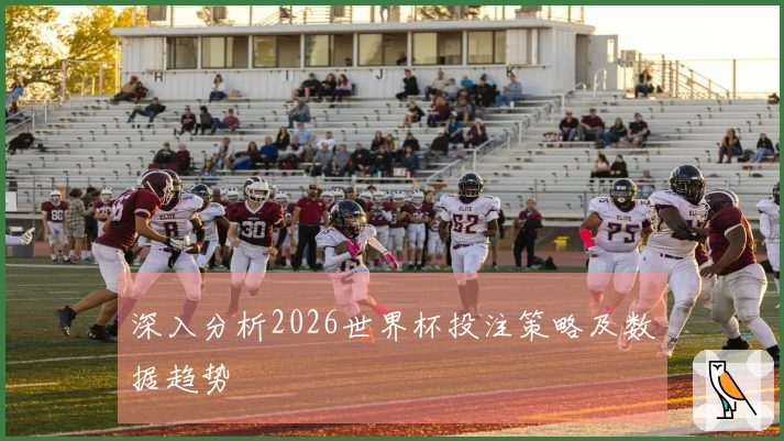 深入分析2026世界杯投注策略及数据趋势