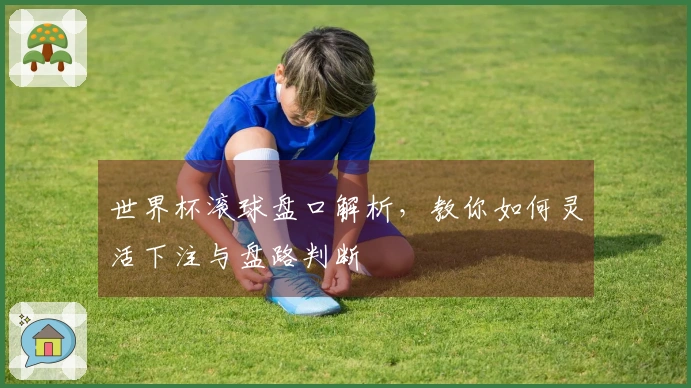 世界杯滚球盘口解析,教你如何灵活下注与盘路判断