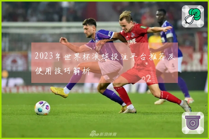 2023年世界杯滚球投注平台推荐及使用技巧解析