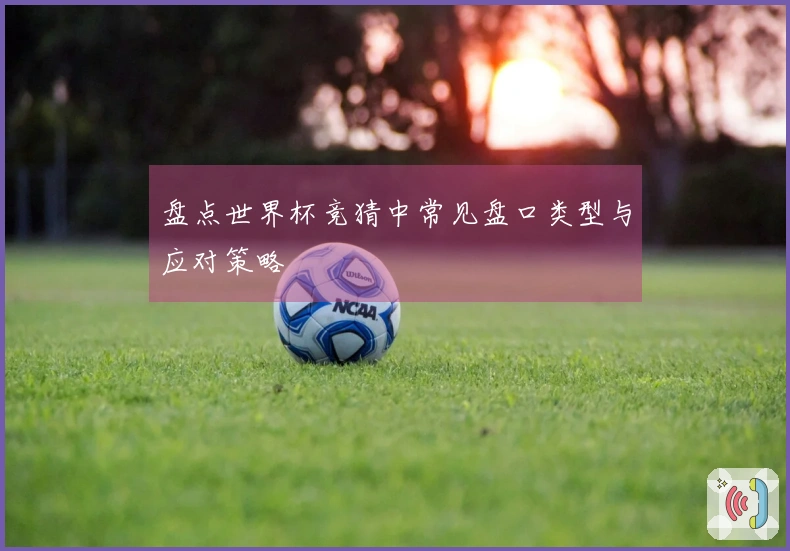 盘点世界杯竞猜中常见盘口类型与应对策略