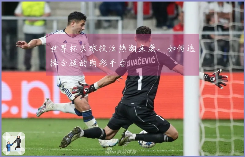 世界杯买球投注热潮来袭，如何选择合适的购彩平台