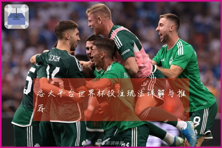 各大平台世界杯投注玩法详解与推荐
