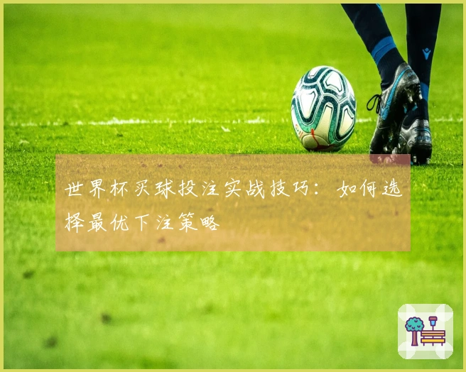 世界杯买球投注实战技巧：如何选择最优下注策略