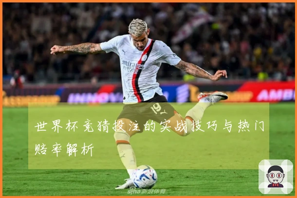 世界杯竞猜投注的实战技巧与热门赔率解析