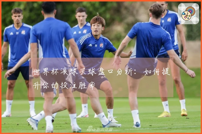 世界杯滚球买球盘口分析：如何提升你的投注胜率