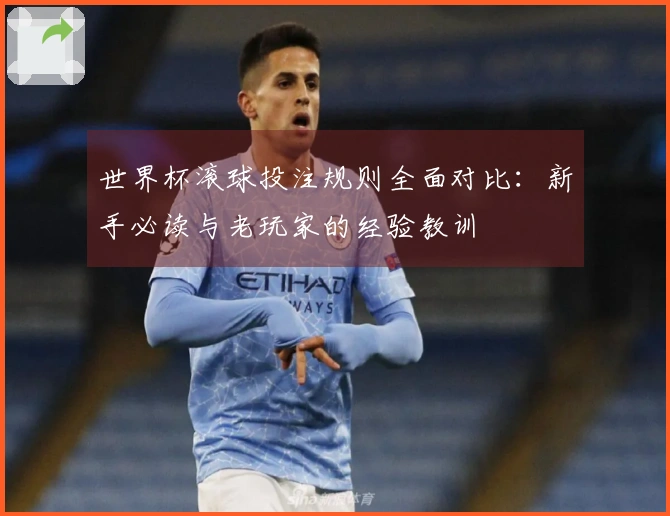 世界杯滚球投注规则全面对比：新手必读与老玩家的经验教训