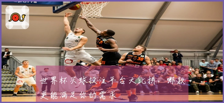 世界杯买球投注平台大比拼,哪款更能满足你的需求