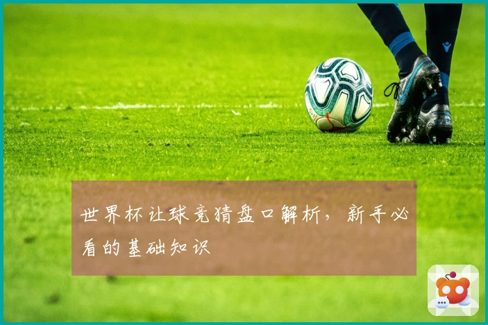 世界杯让球竞猜盘口解析，新手必看的基础知识