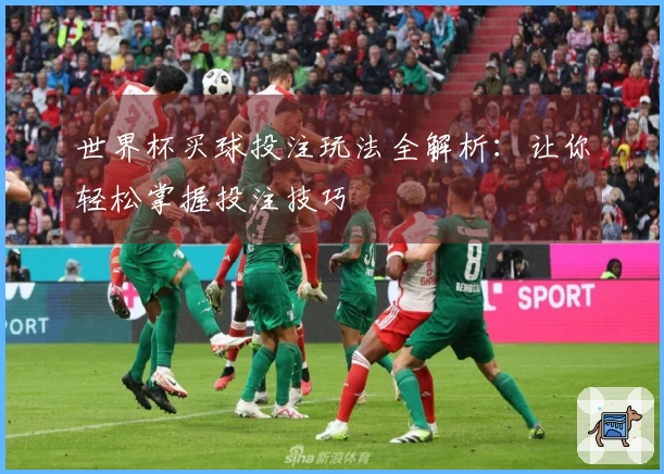 世界杯买球投注玩法全解析：让你轻松掌握投注技巧