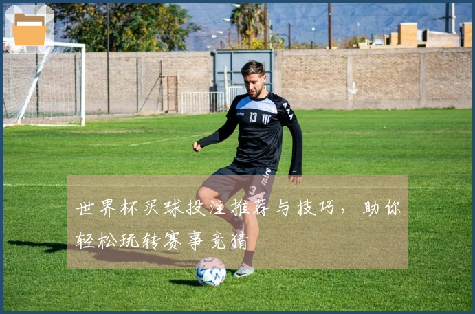 世界杯买球投注推荐与技巧，助你轻松玩转赛事竞猜